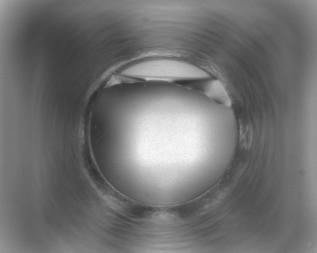 X0000068290348200605121944