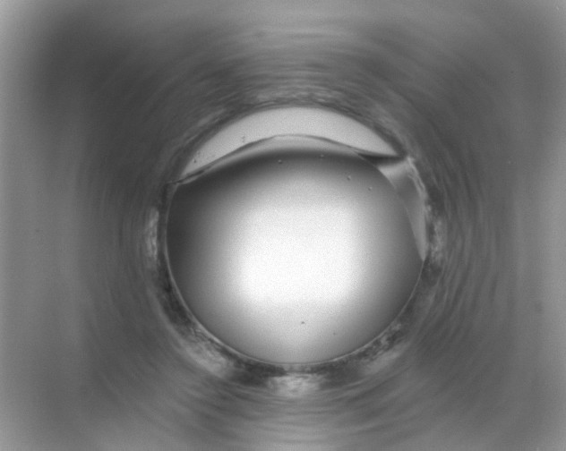 X0000068290356200605121944