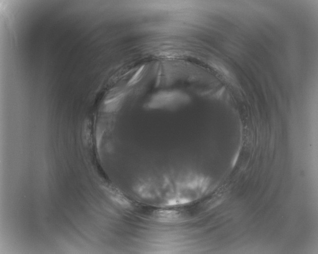 X0000068290361200605121944