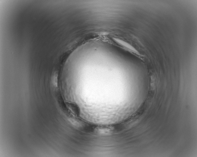 X0000068290368200605121944