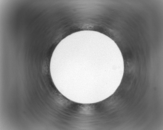 X0000068290370200605121944