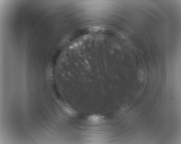 X0000068290375200605121944