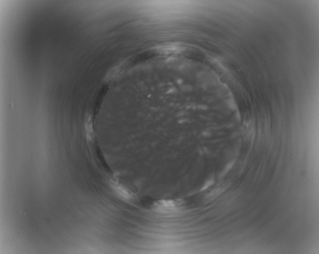 X0000068290381200605121944