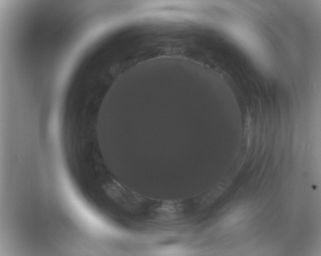 X0000068290383200605121944
