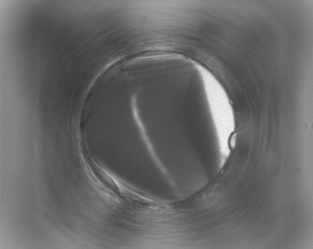 X0000068290386200605121943