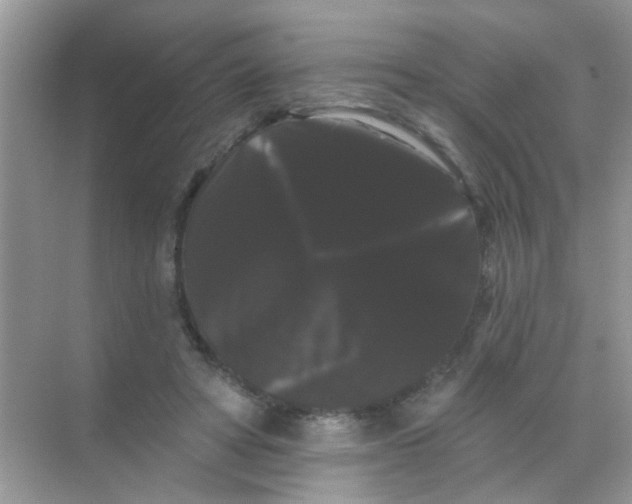 X0000068290402200605121943