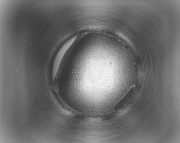 X0000068290403200605121943