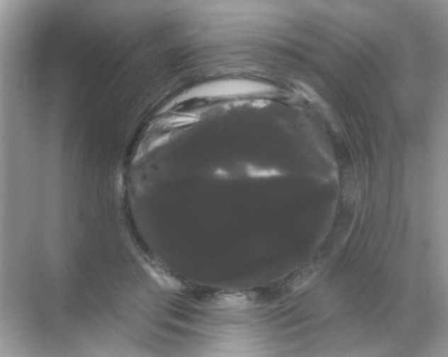 X0000068290405200605121943
