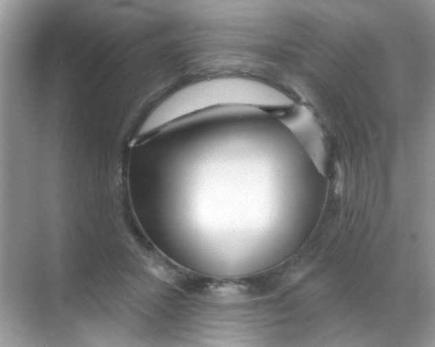 X0000068290407200605121943