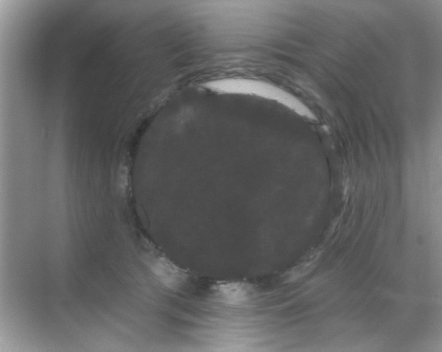 X0000068290417200605121943