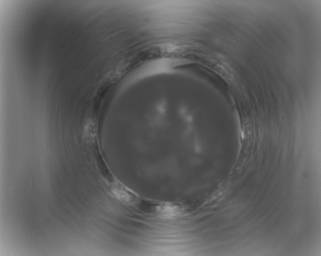 X0000068290419200605121943