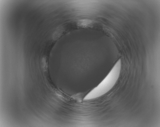 X0000068290420200605121943
