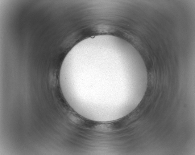 X0000068290422200605121943