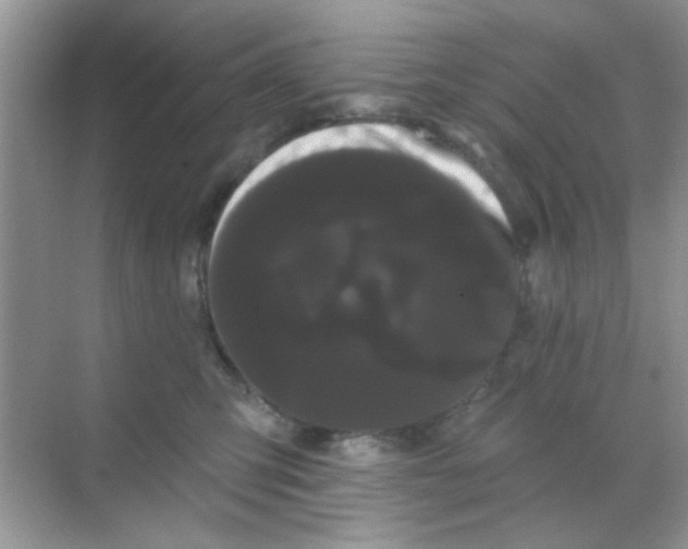 X0000068290423200605121943