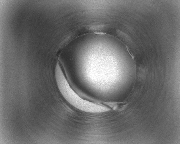 X0000068290428200605121943