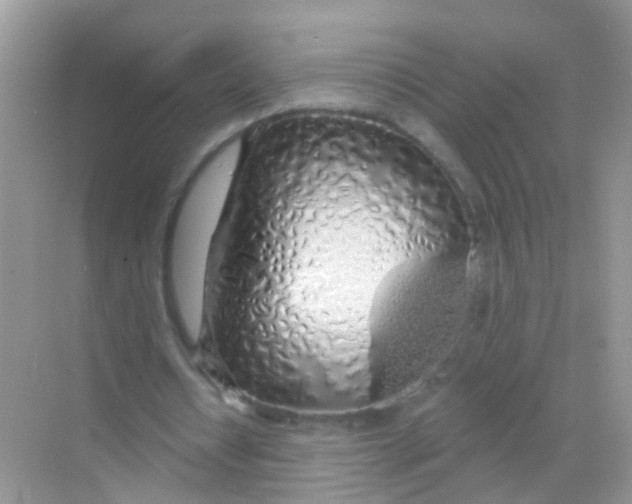 X0000068290434200605121942