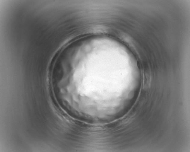 X0000068290435200605121942