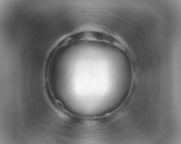 X0000068290438200605121942