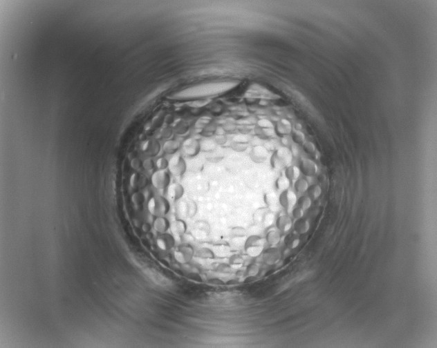 X0000068290446200605121942