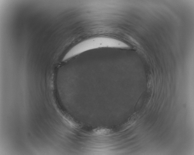 X0000068290452200605121942