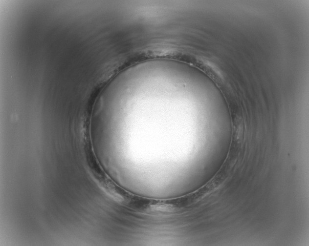 X0000068290455200605121942