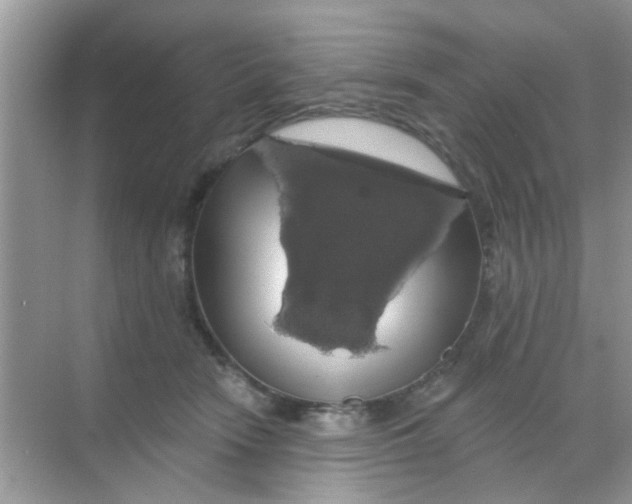 X0000068290466200605121942