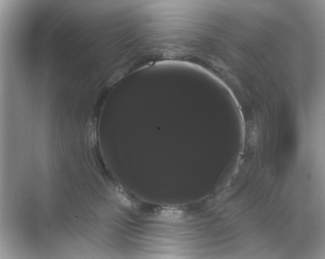 X0000068290471200605121942