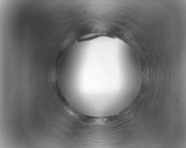 X0000068290474200605121943