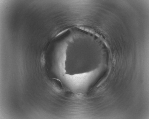 X0000068290479200605121943