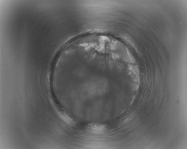X0000068290491200605121942