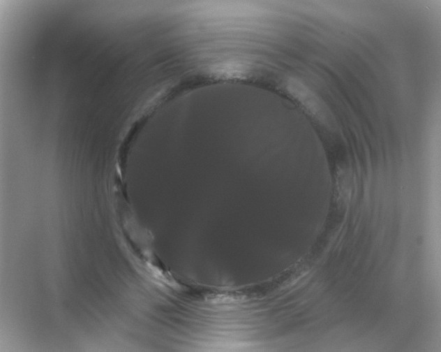 X0000068290494200605121942