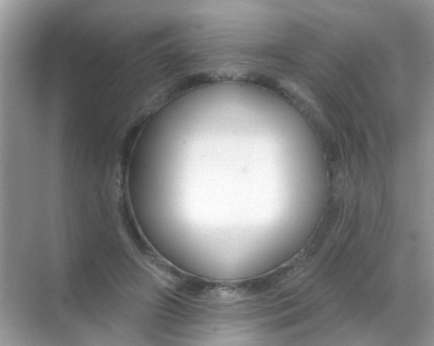 X0000068290498200605121942