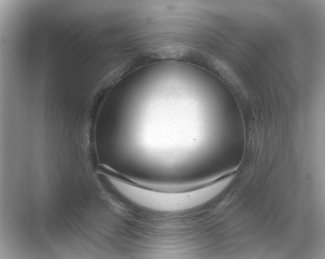 X0000068290501200605121941