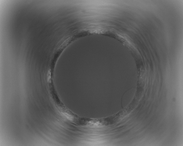 X0000068290502200605121941