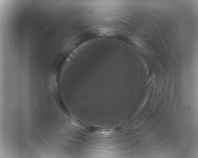X0000068290506200605121941