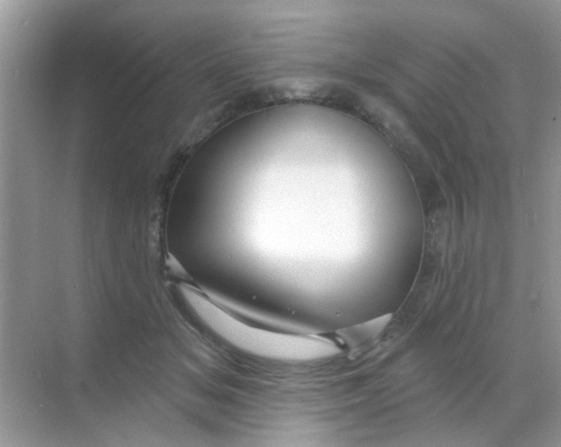 X0000068290509200605121941