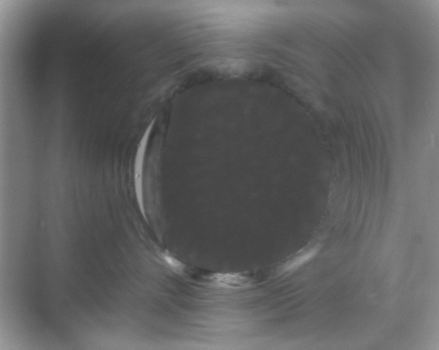 X0000068290528200605121941