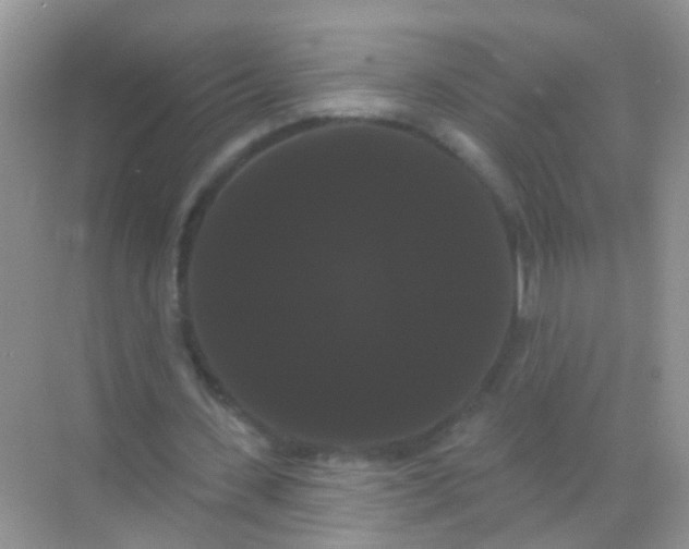 X0000068290531200605121940