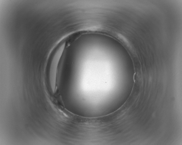 X0000068290532200605121940