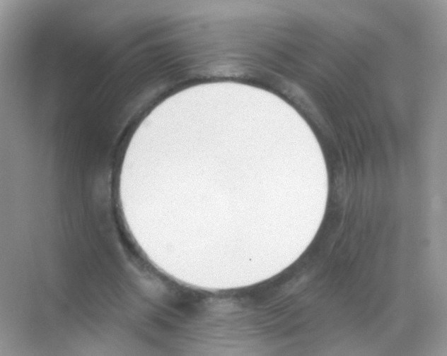 X0000068290534200605121940