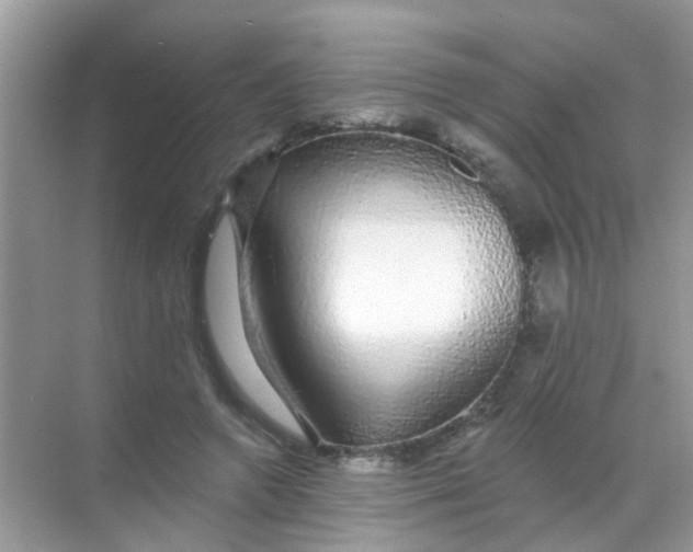 X0000068290546200605121941