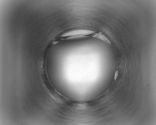 X0000068290548200605121941