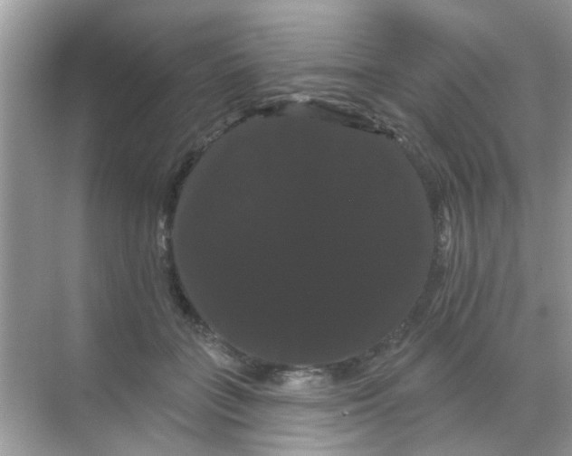X0000068290555200605121941