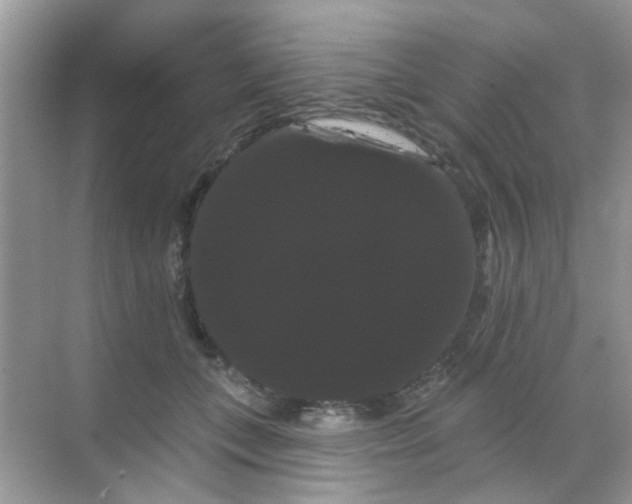 X0000068290559200605121941