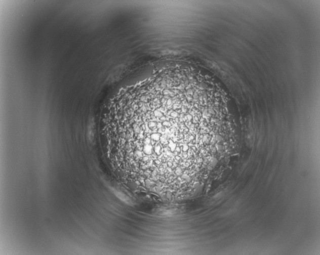 X0000068290563200605121941