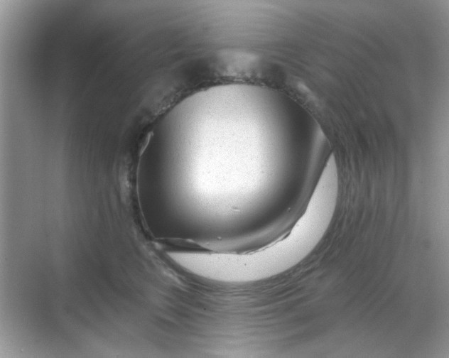 X0000068290566200605121941