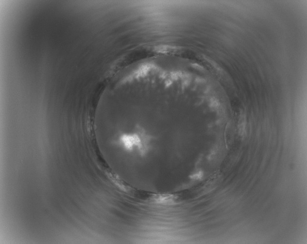 X0000068290569200605121941