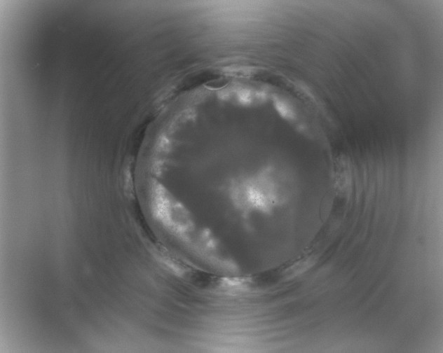 X0000068290573200605121941