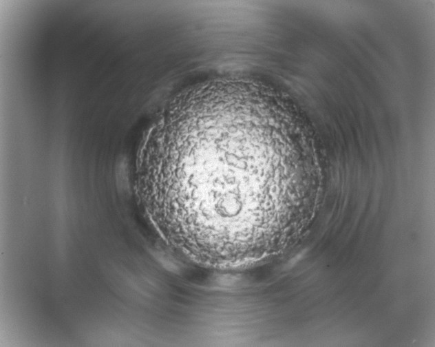 X0000068290575200605121941
