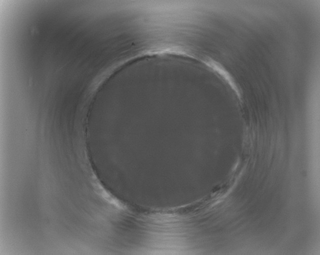 X0000068290577200605121940